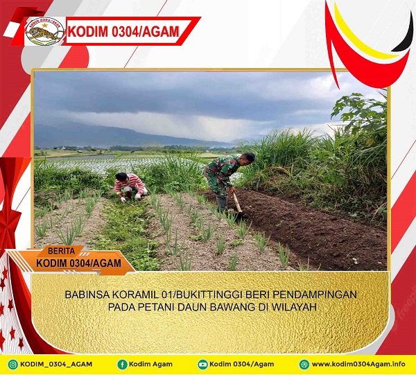 BABINSA KORAMIL 01/BUKITTINGGI BERI PENDAMPINGAN PADA PETANI DAUN BAWANG DI WILAYAH