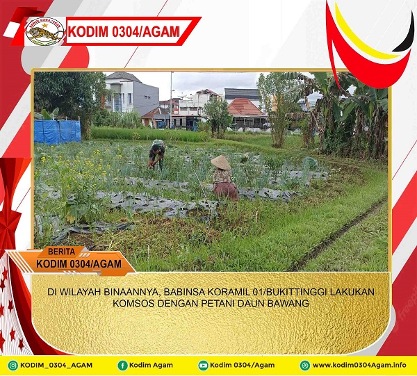 DI WILAYAH BINAANNYA, BABINSA KORAMIL 01/BUKITTINGGI LAKUKAN KOMSOS DENGAN PETANI DAUN BAWANG 