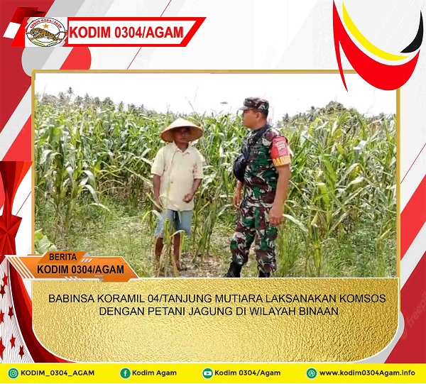 BABINSA KORAMIL 04/TANJUNG MUTIARA LAKSANAKAN KOMSOS DENGAN PETANI JAGUNG DI WILAYAH BINAAN