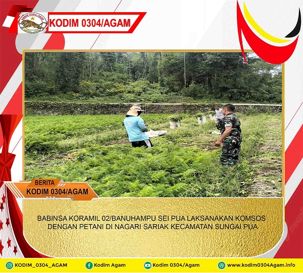BABINSA KORAMIL 02/BANUHAMPU SEI PUA LAKSANAKAN KOMSOS DENGAN PETANI DI NAGARI SARIAK KECAMATAN SUNGAI PUA