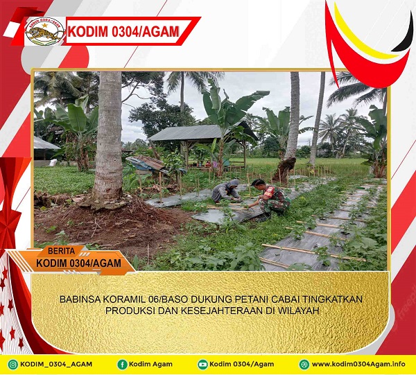BABINSA KORAMIL 06/BASO DUKUNG PETANI CABAI TINGKATKAN PRODUKSI DAN KESEJAHTERAAN DI WILAYAH