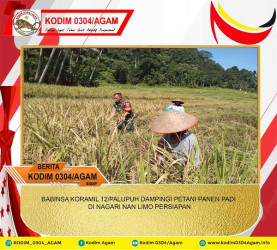 BABINSA KORAMIL 12/PALUPUH DAMPINGI PETANI PANEN PADI DI NAGARI NAN LIMO PERSIAPAN