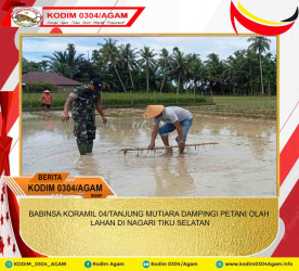 BABINSA KORAMIL 04/TANJUNG MUTIARA DAMPINGI PETANI OLAH LAHAN DI NAGARI TIKU SELATAN