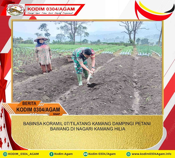 BABINSA KORAMIL 07/TILATANG KAMANG DAMPINGI PETANI BAWANG DI NAGARI KAMANG HILIA