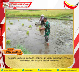 BABINSA KORAMIL 06/BASO, SERDA HELMIADI, DAMPINGI PETANI TANAM PADI DI NAGARI TABEK PANJANG