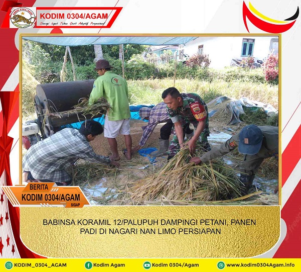 BABINSA KORAMIL 12/PALUPUH DAMPINGI PETANI, PANEN PADI DI NAGARI NAN LIMO PERSIAPAN