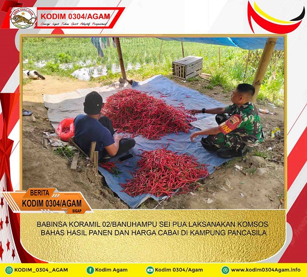 BABINSA KORAMIL 02/BANUHAMPU SEI PUA LAKSANAKAN KOMSOS BAHAS HASIL PANEN DAN HARGA CABAI DI KAMPUNG PANCASILA