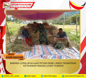 BABINSA 12/PALUPUH AJAK PETANI PASIE LAWEH TINGKATKAN KETAHANAN PANGAN LEWAT KOMSOS