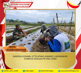 BABINSA KORAMIL 07/TILATANG KAMANG LAKSANAKAN KOMSOS DENGAN PETANI CABAI