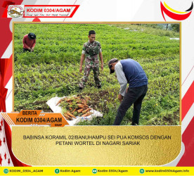 BABINSA KORAMIL 02/BANUHAMPU SEI PUA KOMSOS DENGAN PETANI WORTEL DI NAGARI SARIAK