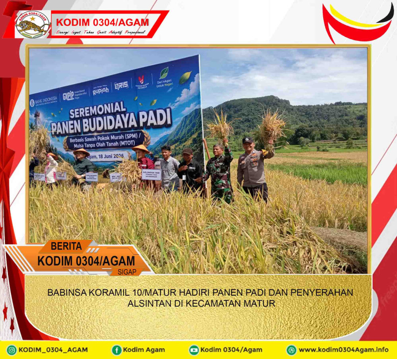 BABINSA KORAMIL 10/MATUR HADIRI PANEN PADI DAN PENYERAHAN ALSINTAN DI KECAMATAN MATUR