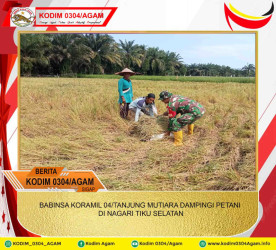 BABINSA KORAMIL 04/TANJUNG MUTIARA DAMPINGI PETANI DI NAGARI TIKU SELATAN