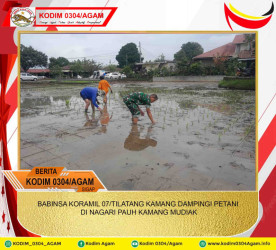 BABINSA KORAMIL 07/TILATANG KAMANG DAMPINGI PETANI DI NAGARI PAUH KAMANG MUDIAK